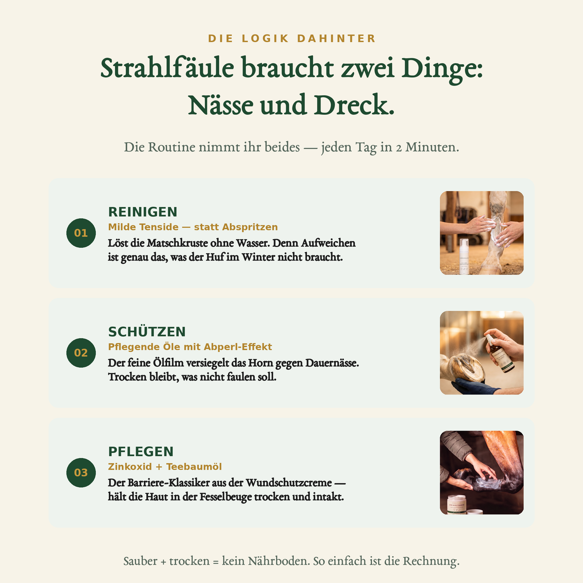 Schweifglanz Strahlfäule-Sofort-Set