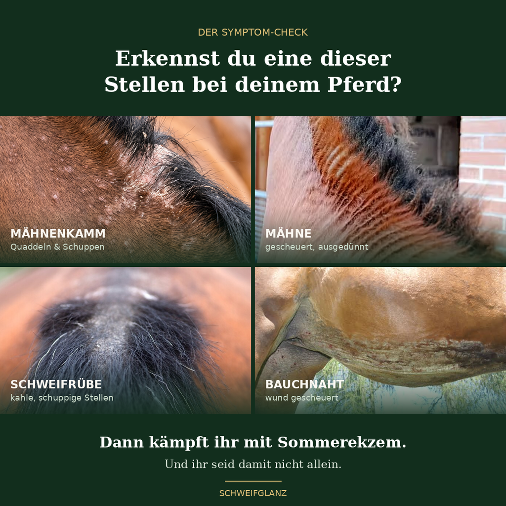 Schweifglanz Ekzem-Sofort-Set – Pflegecreme + Citronella-Spray