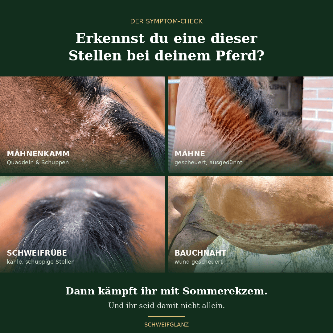 Schweifglanz Ekzem-Sofort-Set – Pflegecreme + Citronella-Spray